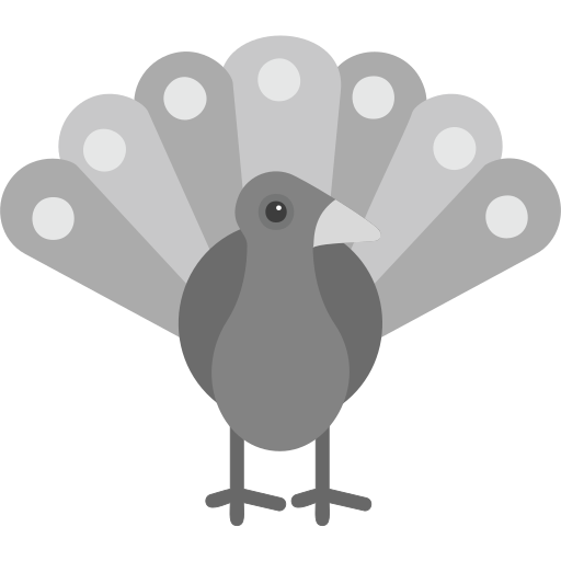 Peacock Generic Grey icon