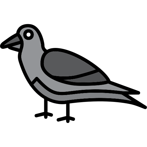 Crow Generic Outline Color icon