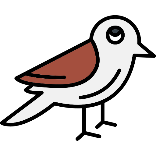 Sparrow Generic Outline Color icon