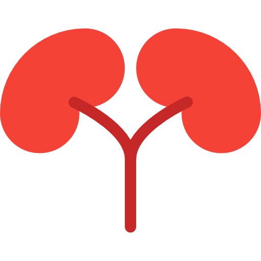 Kidneys Pixel Perfect Flat icon