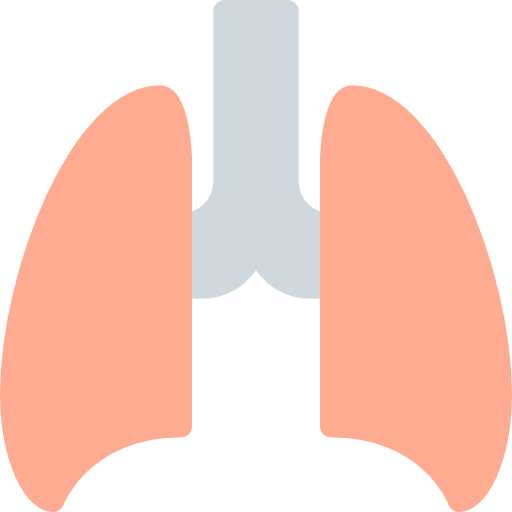 Lungs Pixel Perfect Flat icon