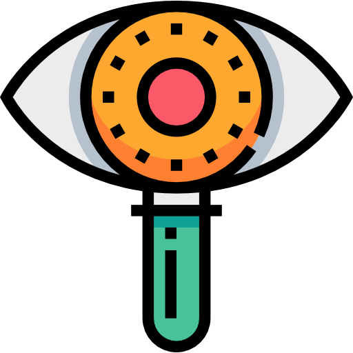 auge Meticulous Lineal Color icon