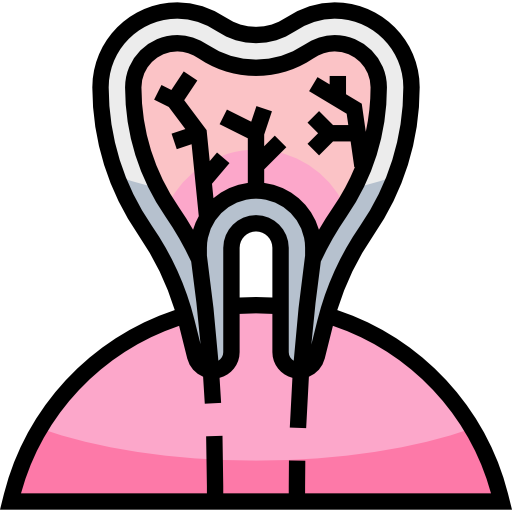 diente Meticulous Lineal Color icono