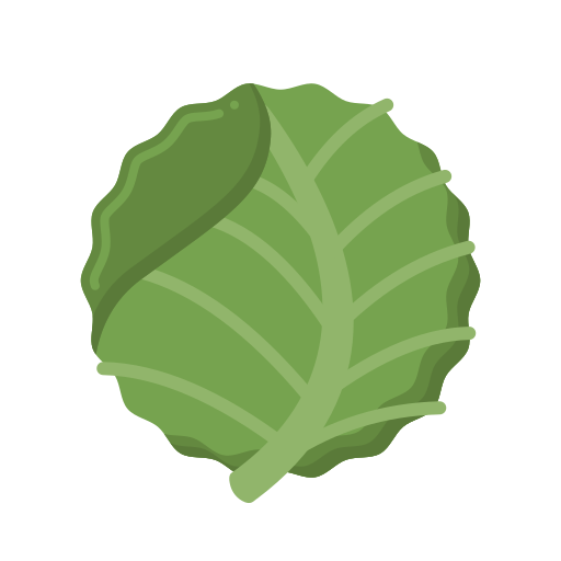 Cabbage  Generic Flat icon