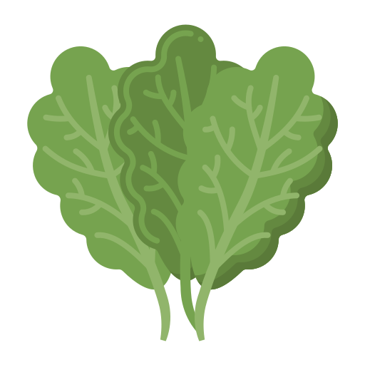 grünkohl Generic Flat icon