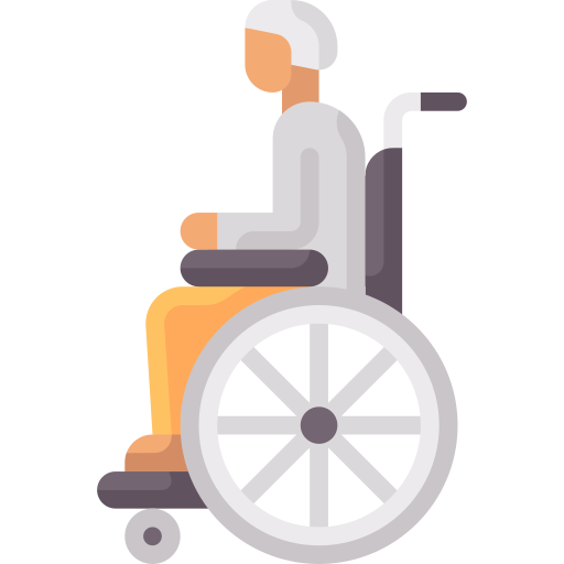 Wheelchair Special Flat icon