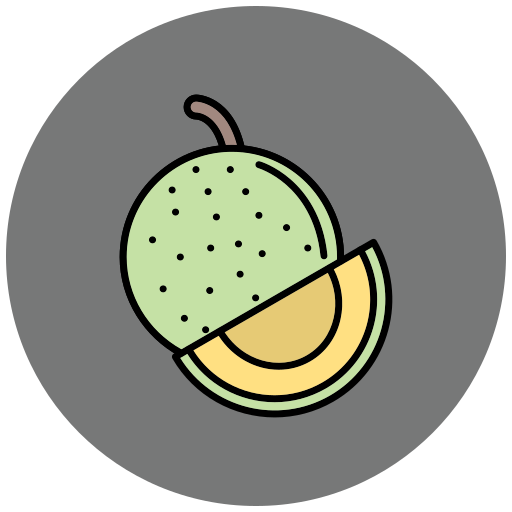 Cantaloupe Generic Outline Color icon