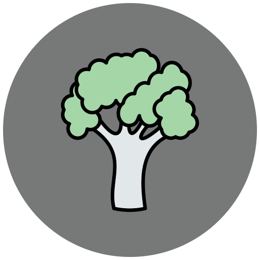 brokkoli Generic Outline Color icon