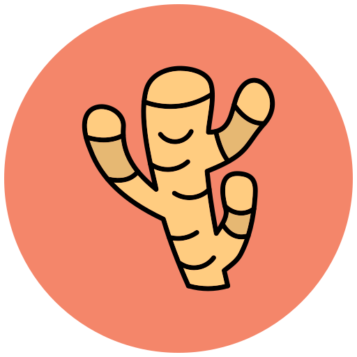 ingwer Generic Outline Color icon