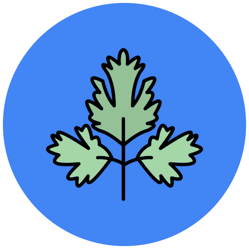 Parsley Generic Outline Color icon