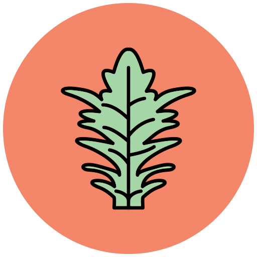 frisee Generic Outline Color icon