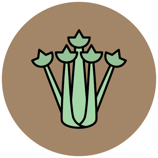 celery Generic Outline Color icon