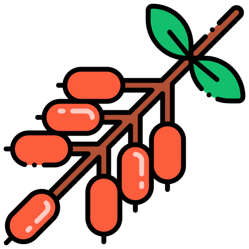 Barberry Generic Outline Color icon