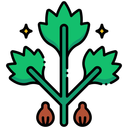 Coriander Generic Outline Color icon