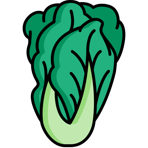 Chinese cabbage Generic Outline Color icon