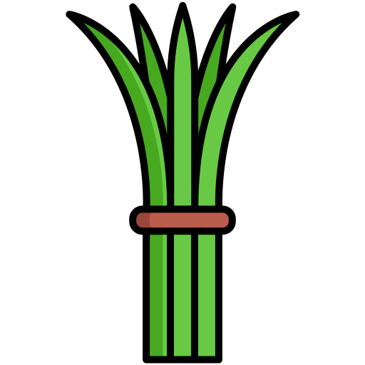 Chives Generic Outline Color icon
