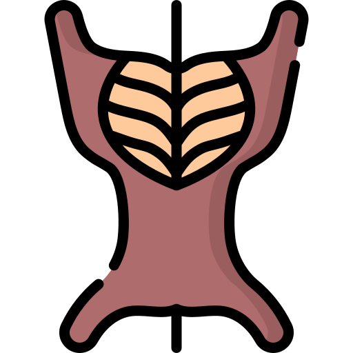 카브리토 Special Lineal color icon
