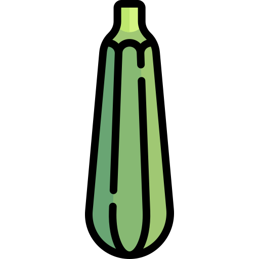 calabacín Special Lineal color icono