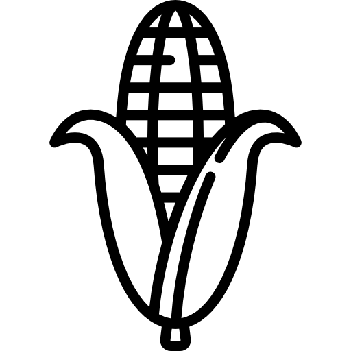 トウモロコシ Special Lineal icon
