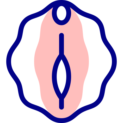 vagina Detailed Mixed Lineal color icoon
