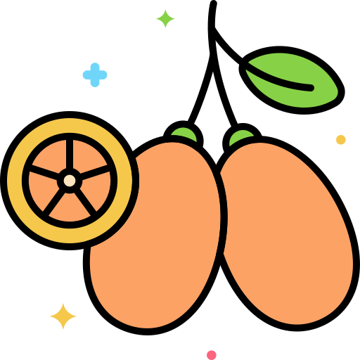 kumquat Generic Outline Color Icône