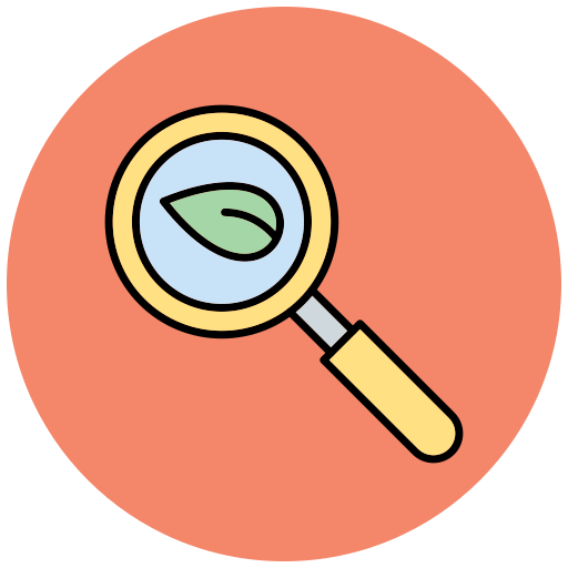 Organic search Generic Outline Color icon