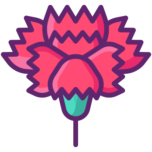 Carnation Generic Outline Color icon