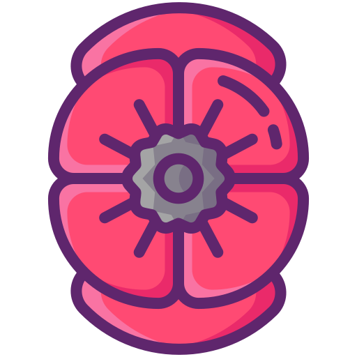 Poppy Generic Outline Color icon