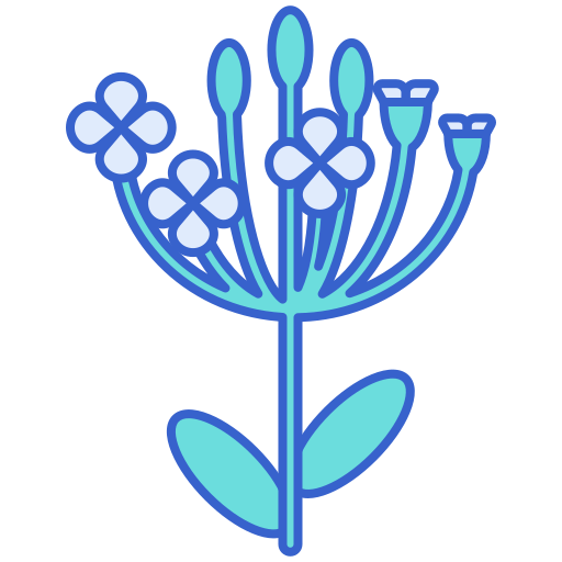 Alyssum Generic Outline Color icon