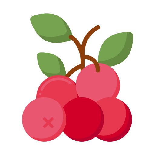 cranberry Generic Flat icon