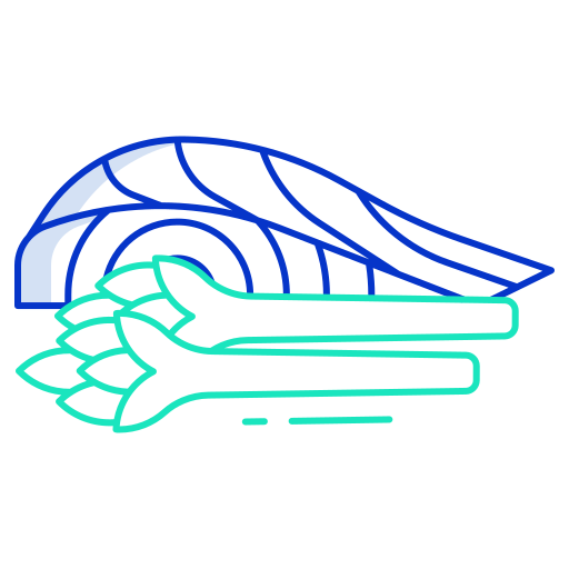 salmón Generic color outline icono