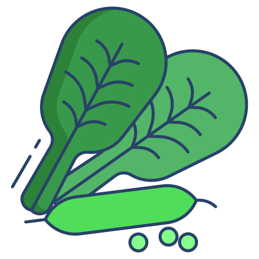 Spinach Generic color outline icon