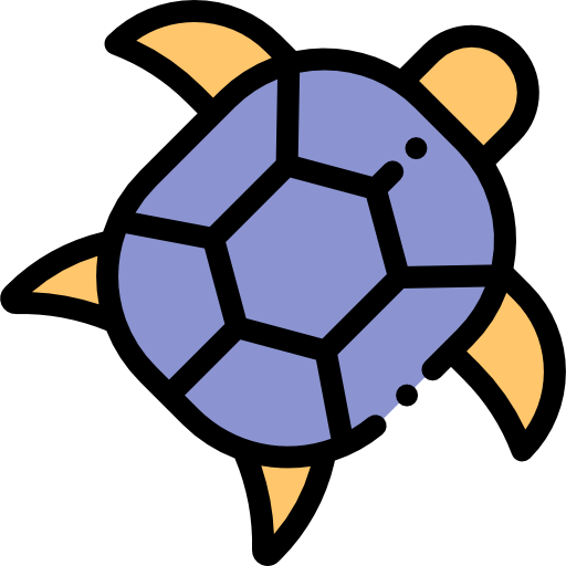schildkröte Detailed Rounded Lineal color icon