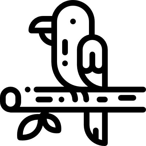 オウム Detailed Rounded Lineal icon