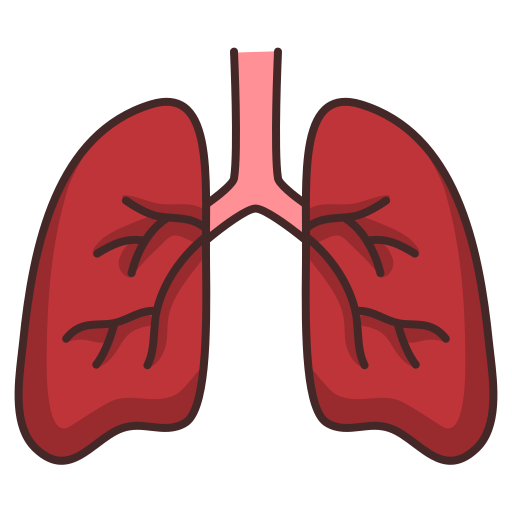 Pulmonary Generic Outline Color icon