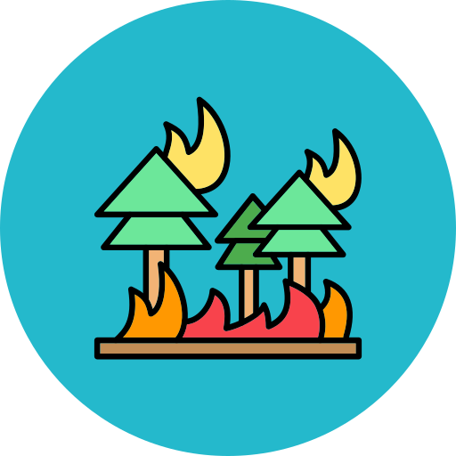 pożar Generic Outline Color ikona