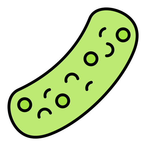 Pickle Generic color lineal-color icon
