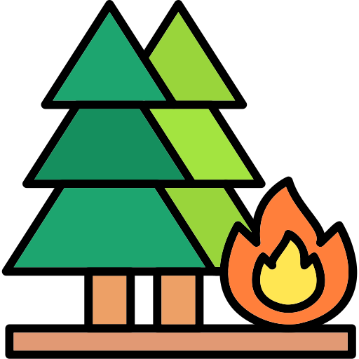 Wildfire Generic Outline Color icon