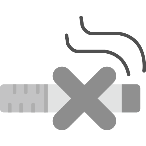 rauchen verboten Generic Grey icon