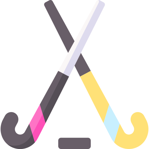 Hockey Special Flat icon
