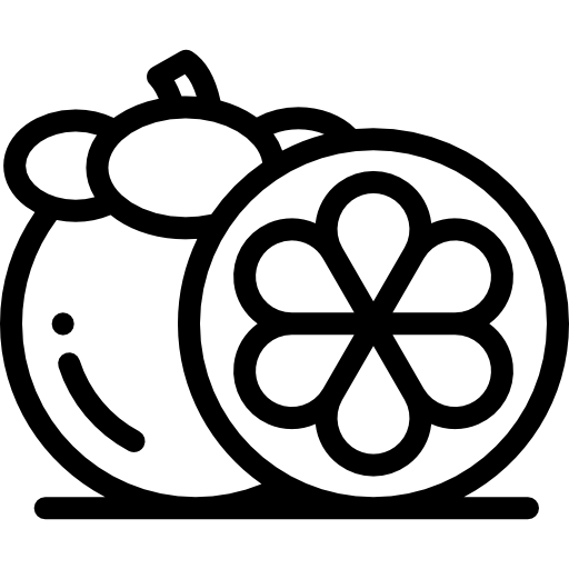 mangostano Detailed Rounded Lineal icona