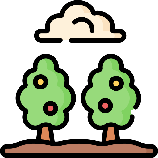 과일 나무 Special Lineal color icon