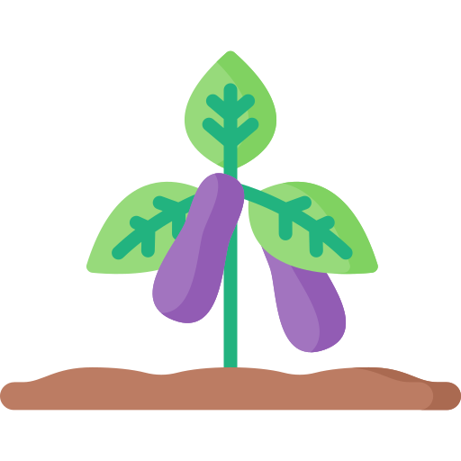 Eggplant Special Flat icon