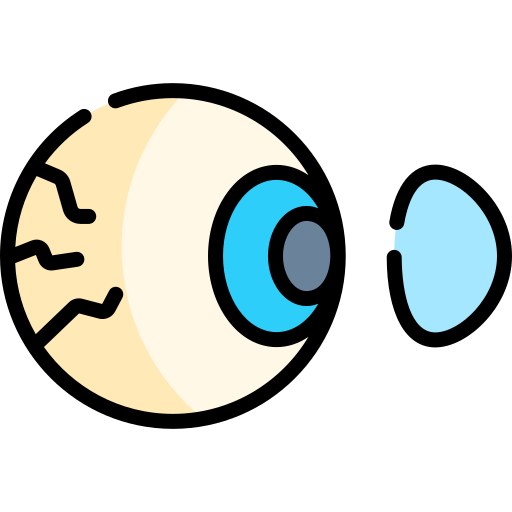 cornea Kawaii Lineal color icona