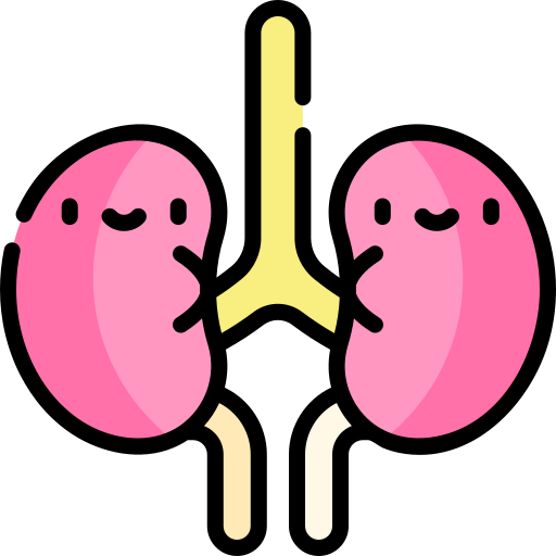 Kidneys Kawaii Lineal color icon