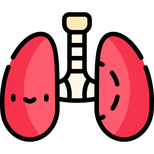 pulmón Kawaii Lineal color icono