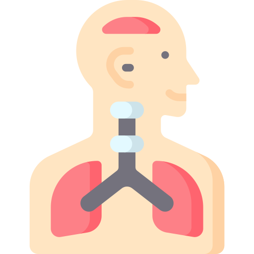 Physiology Special Flat icon
