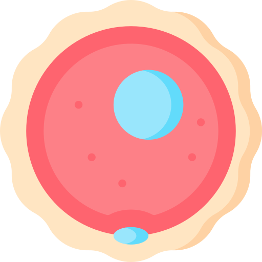 Ovum Special Flat icon