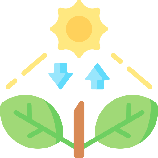 fotosynteza Special Flat ikona