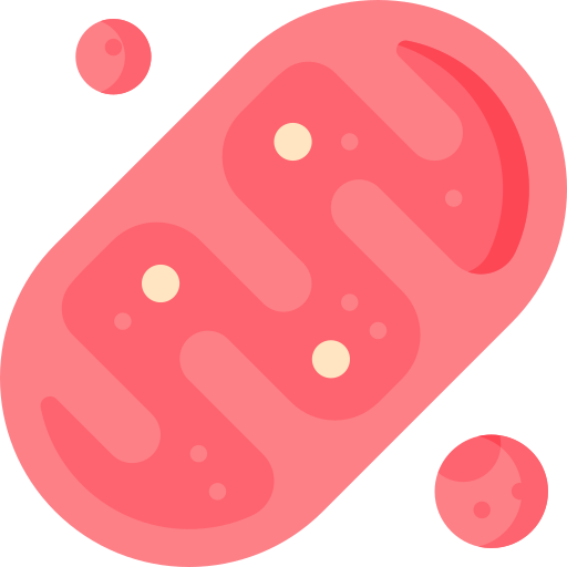 mitocondri Special Flat icona